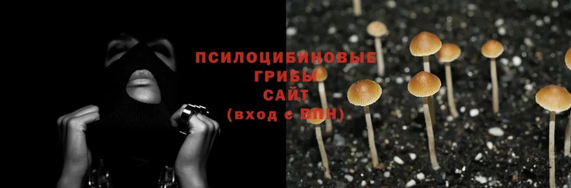 Псилоцибиновые грибы Psilocybe  купить наркоту  Горячий Ключ 